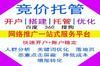某行业sem代运营推广公司成功案例分析